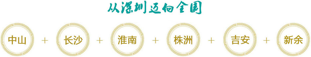 发展战略