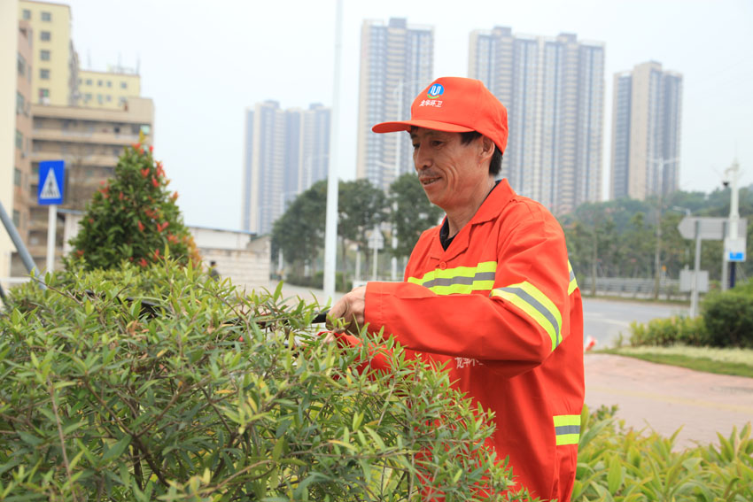 园林绿化保养
